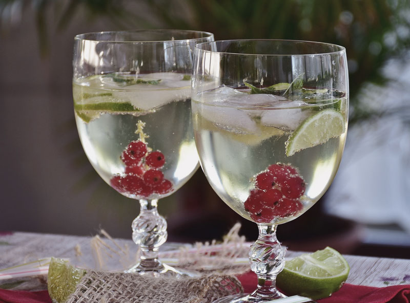alkoholfreie cocktails cranberry-gin
